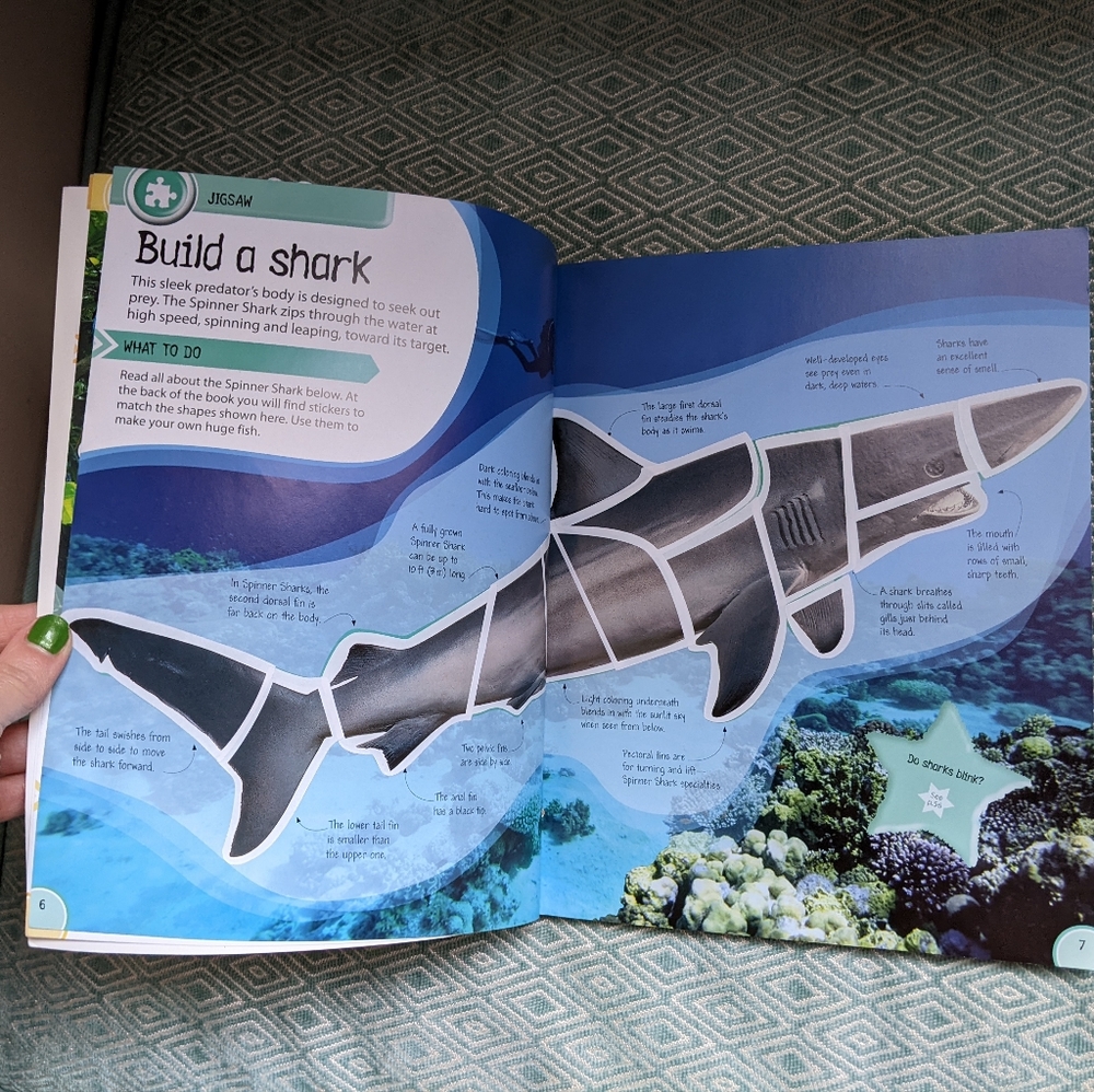 Smithsonian Animals - Ultimate Sticker Activity Collection - Picture 11 of 16